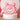 Bear Shaped Bag and Water Bottle